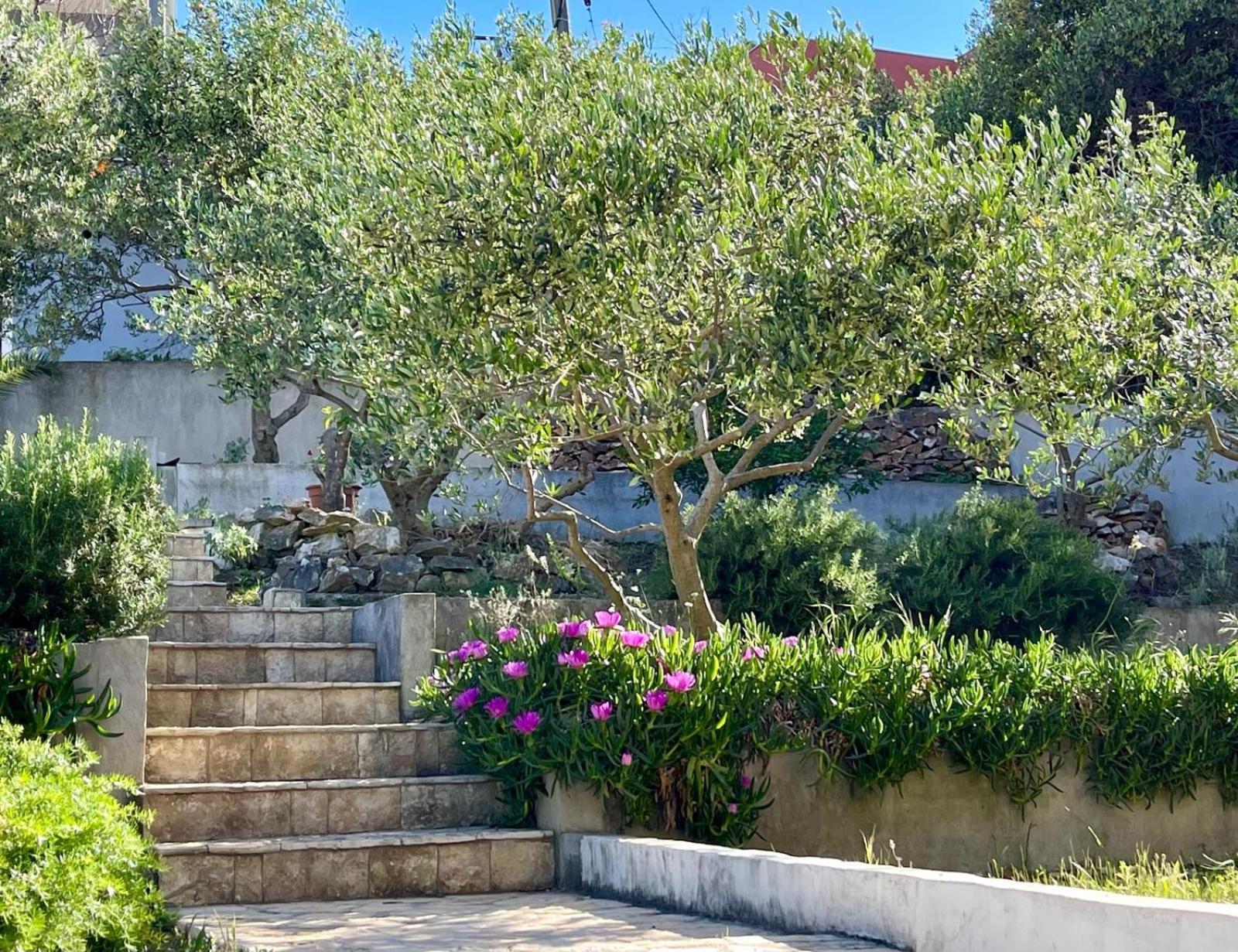 Villa Bua - Beautiful Seafront Apartments トロギール エクステリア 写真